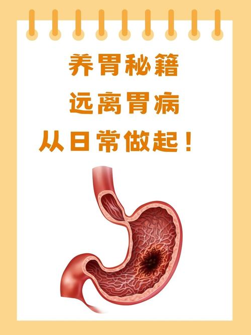 详细阅读:护胃养生:守护健康,从“胃”开始 护胃养生:守护健康,从“胃”开始