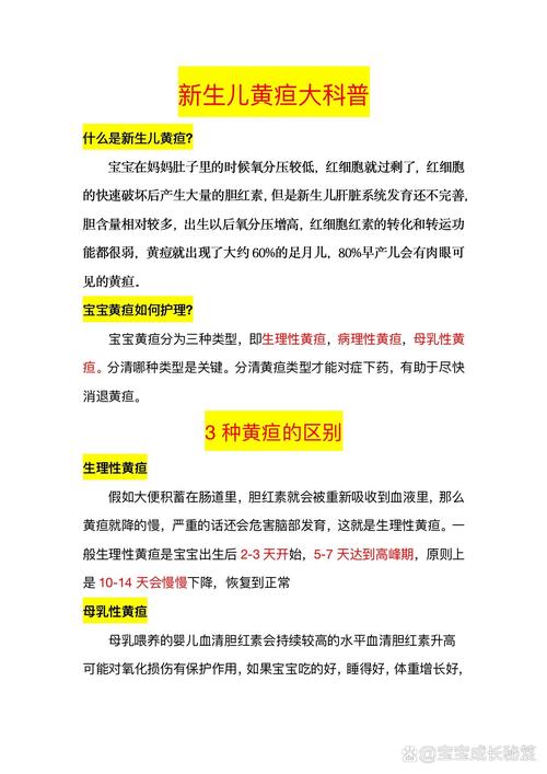 新生儿黄疸：全面解析与科学应对