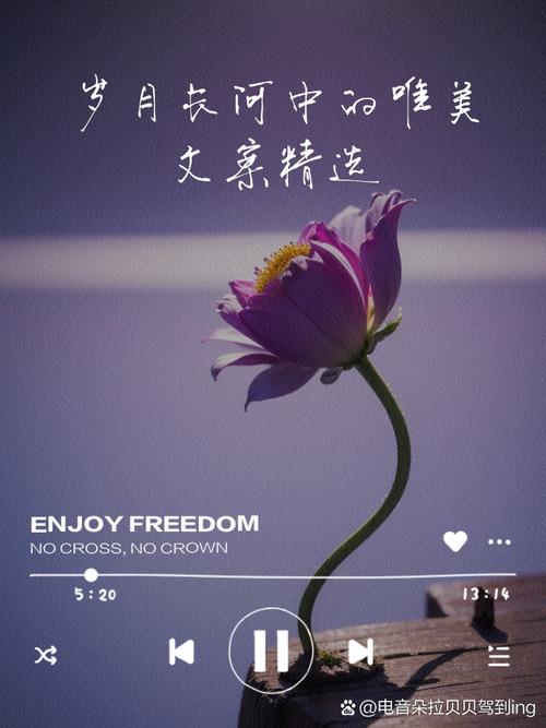 情感语录：岁月长河中的心语涟漪