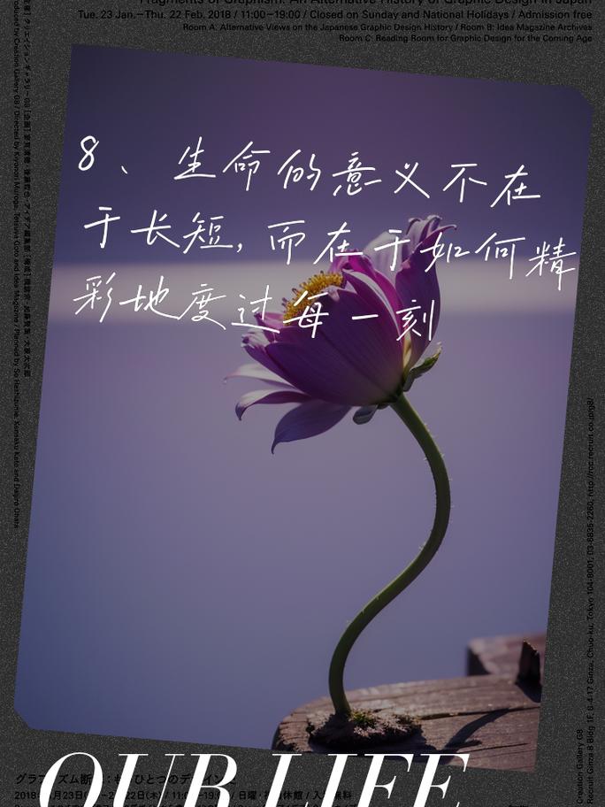 在时光长河中探寻生命的意义