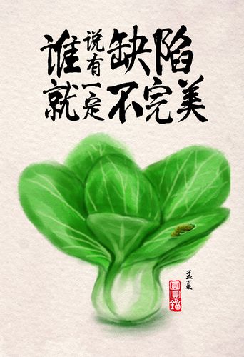 白菜：平凡中的绿意恩赐