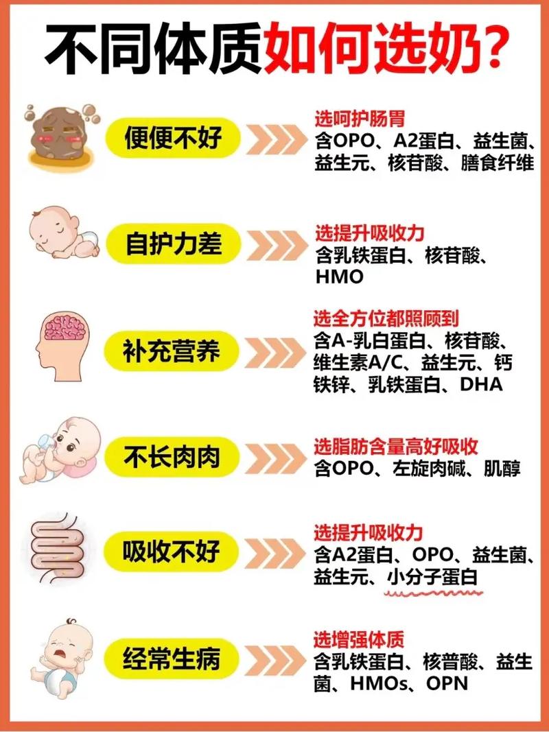 奶粉：营养、安全与选择的深度剖析