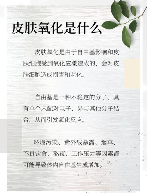 详细阅读:肌肤抗氧化能力:守护青春,抵御岁月侵蚀的神秘力量 肌肤抗氧化能力:守护青春,抵御岁月侵蚀的神秘力量