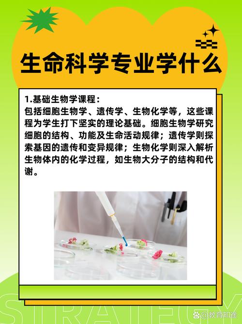 探寻生物材料的奥秘与应用