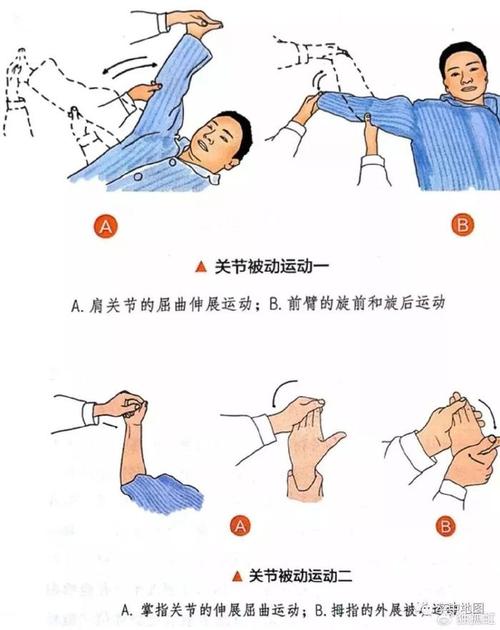 运动与康复的科学原理
