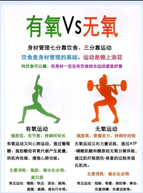 运动与营养吸收：相辅相成的健康密码