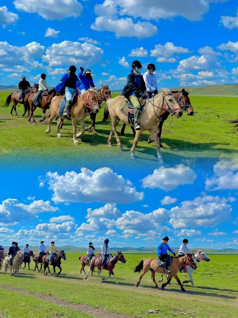 详细阅读:体验呼和浩特草原骑马之旅 体验呼和浩特草原骑马之旅