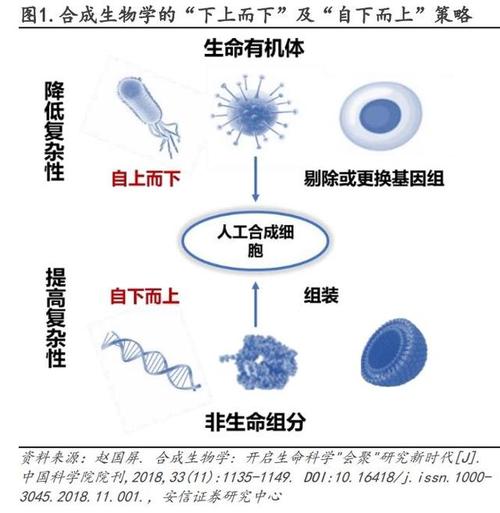 合成生物学：探索生命科学的新前沿