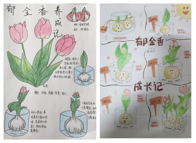 花卉种植的艺术：从种子到花园的奇妙旅程