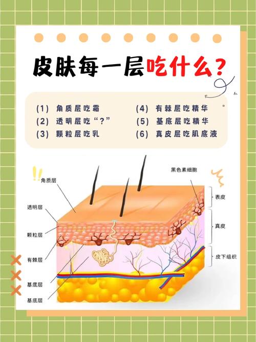 身体肌肤抗皱的科学奥秘与实用攻略