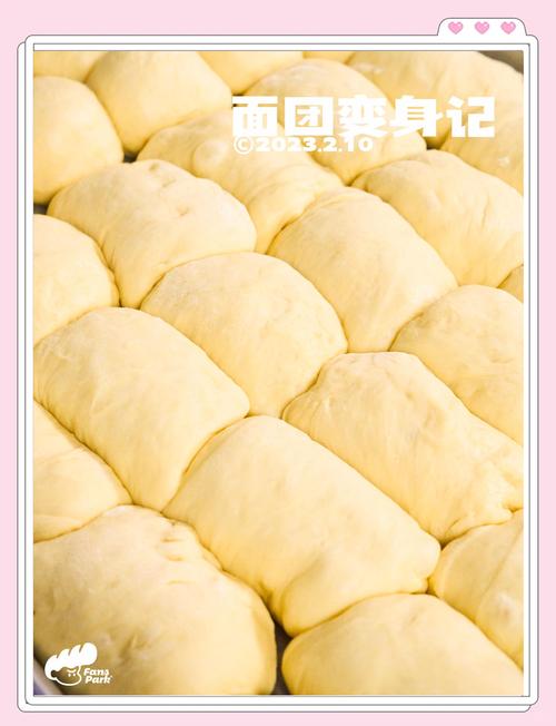 面包制作：从面团到美味的奇妙旅程