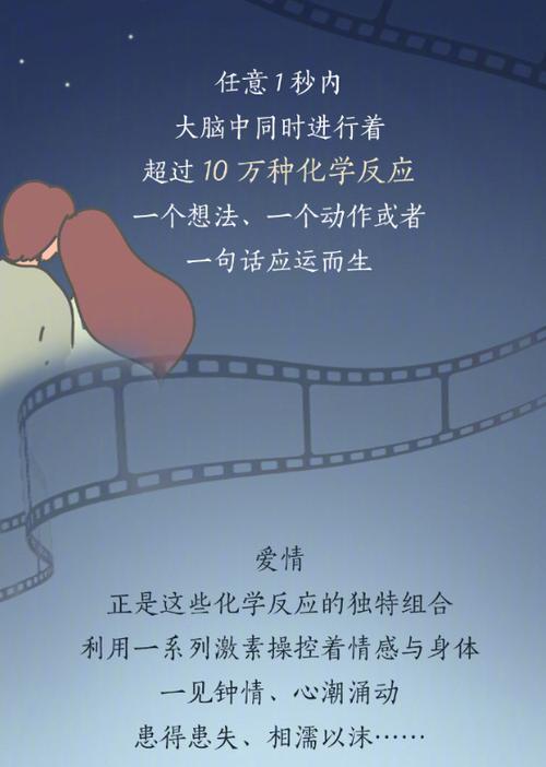 爱情与效率：相互促进的奇妙平衡