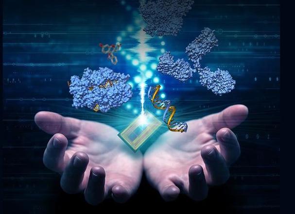 详细阅读:生物传感器:生命科学的精准之眼 生物传感器:生命科学的精准之眼