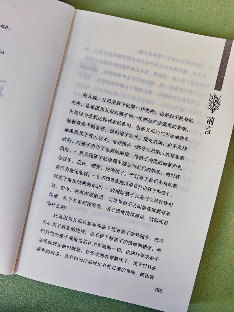 正面管教：培养孩子自律、责任感与合作精神的育儿宝典