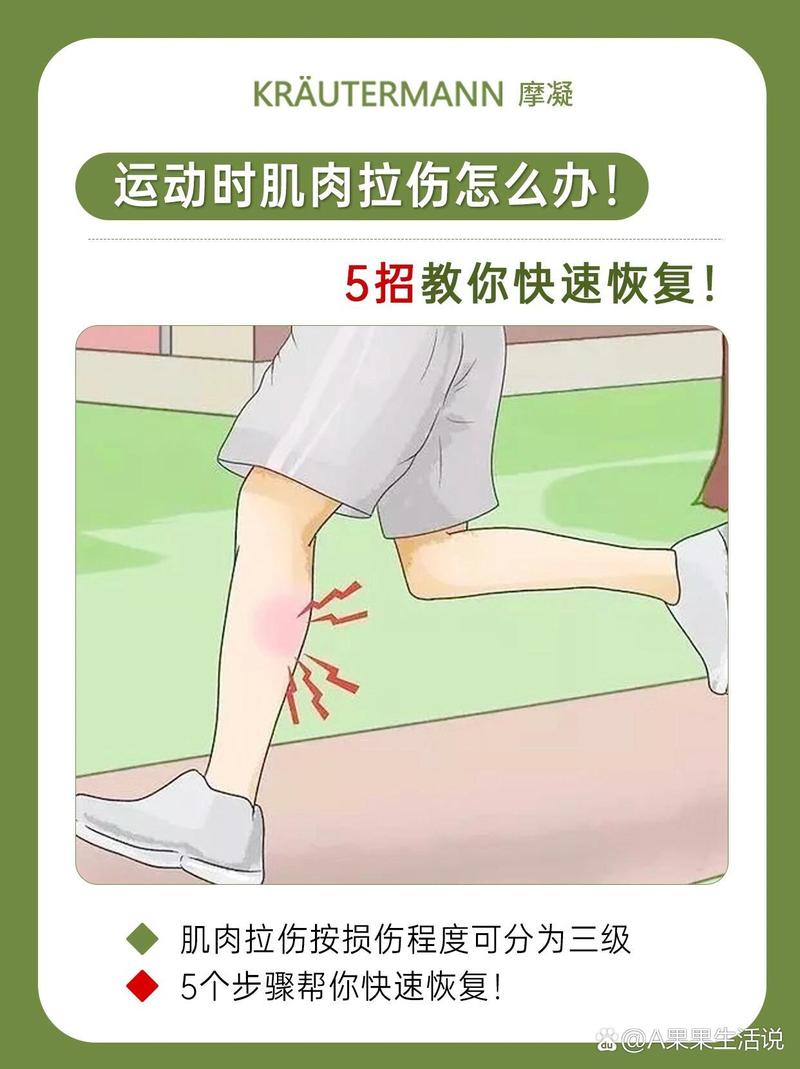 详细阅读:肌肉拉伤:成因、预防与康复全攻略 肌肉拉伤:成因、预防与康复全攻略