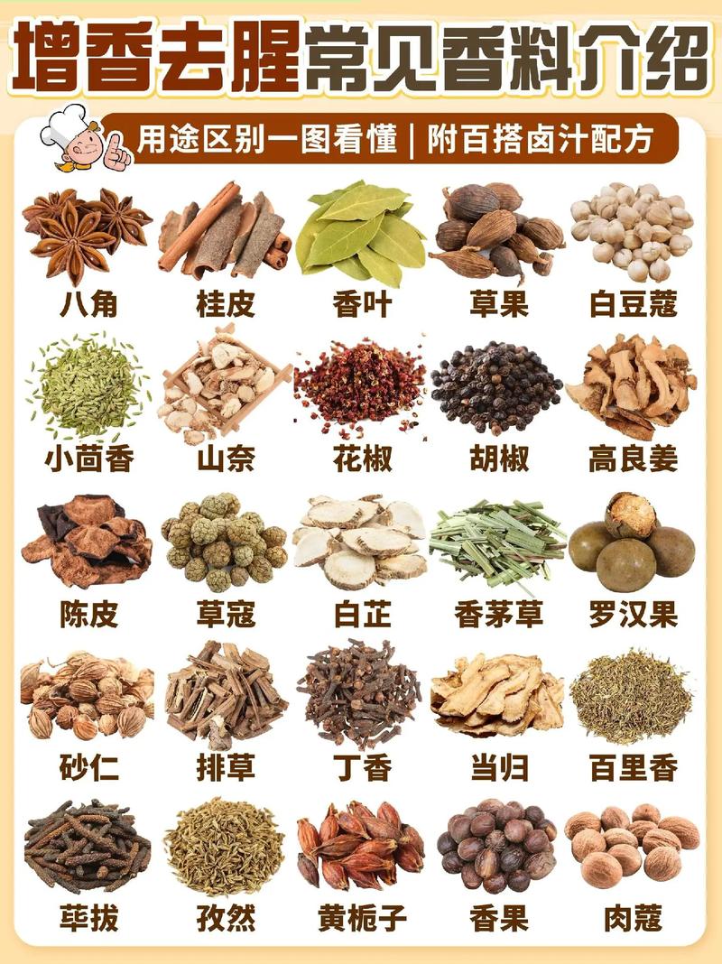 香料大全：探索香料的奥秘与魅力