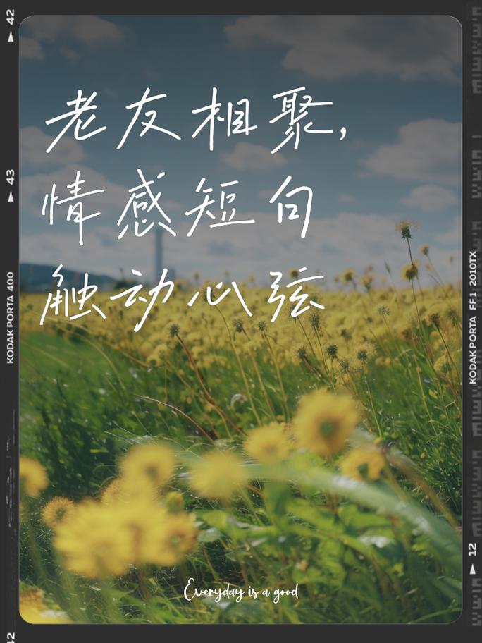 详细阅读:朋友聚会频率:维系情感的纽带与生活节奏的调和 朋友聚会频率:维系情感的纽带与生活节奏的调和