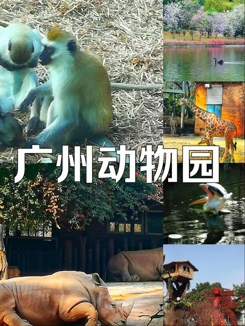 探秘广州动物园：自然与文化的奇妙交融之旅