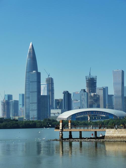 深圳湾公园：滨海明珠，都市绿洲