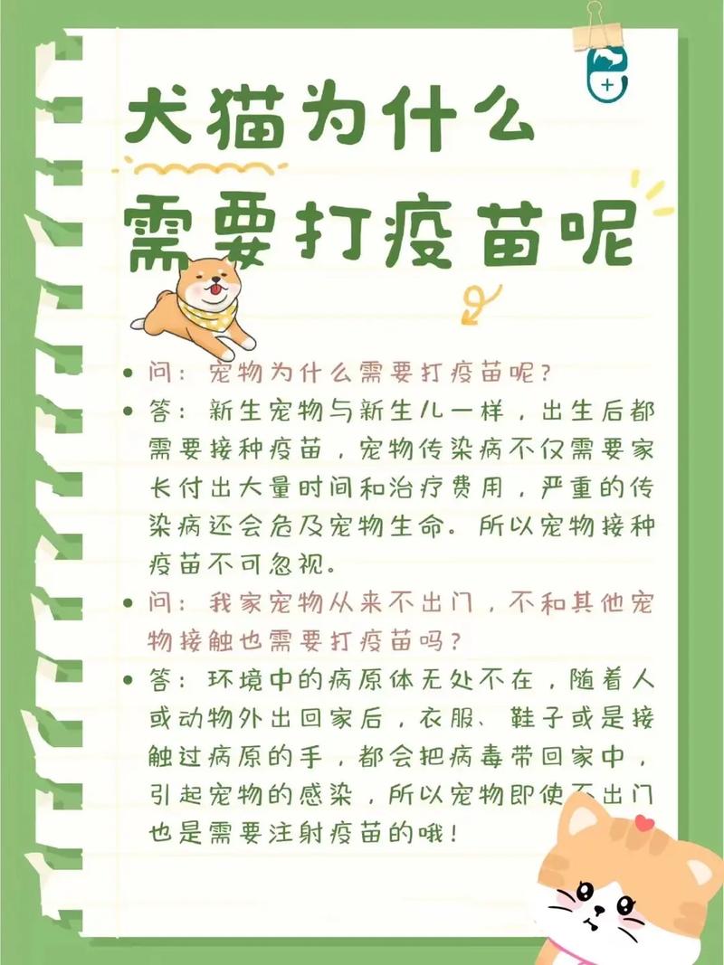 宠物疫苗：守护爱宠健康的坚实屏障