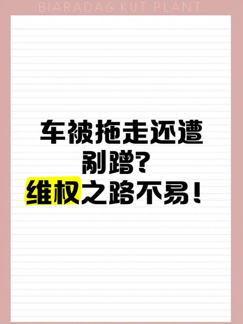 汽车质量投诉：维权之路的困境与希望