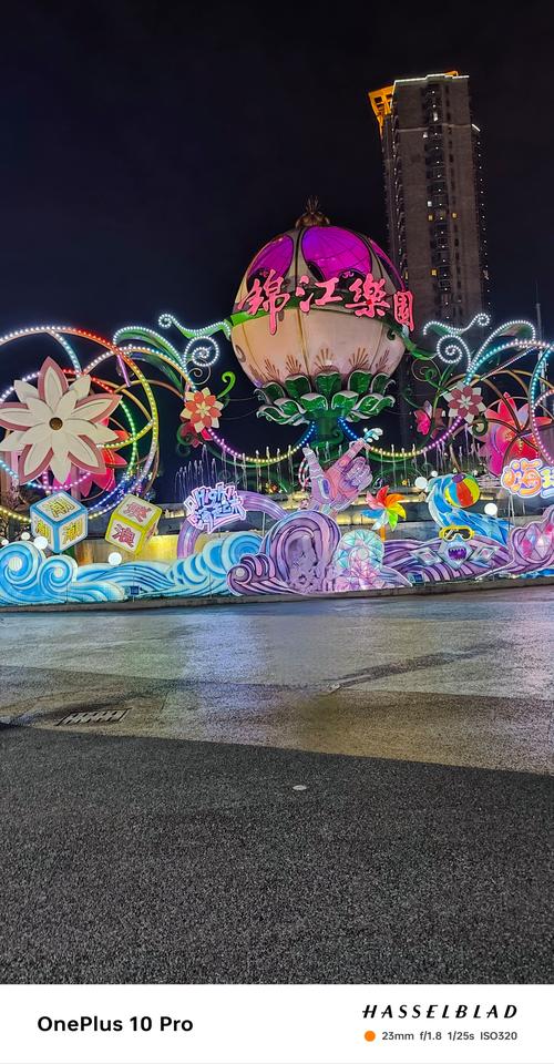 多彩节日，畅享独特旅游体验