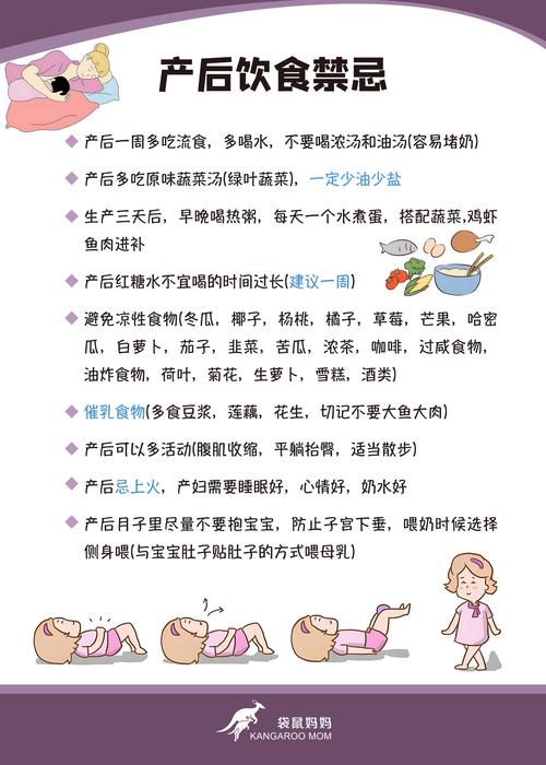 产后护理蛋白质补充：新妈妈恢复的营养密码