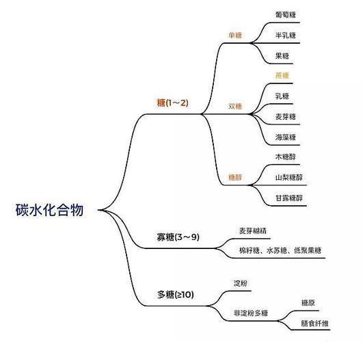 碳水化合物：生命能量的基石与多元价值探索
