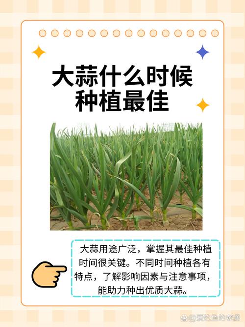 详细阅读:食材应季性:提升美食价值与生活品质的绿色密码 食材应季性:提升美食价值与生活品质的绿色密码