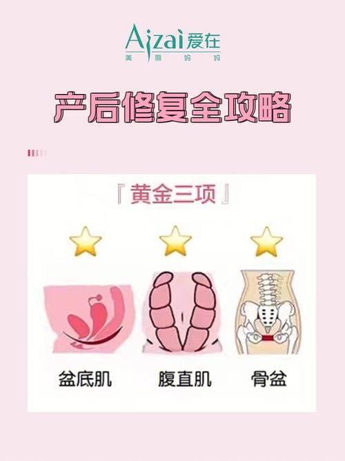 详细阅读:产后护理与盆底肌修复全攻略:重拾自信,开启健康新生活 产后护理与盆底肌修复全攻略:重拾自信,开启健康新生活