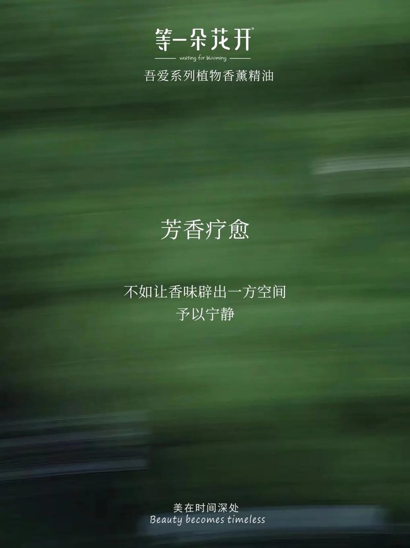 芳香疗法：自然之息，疗愈身心的奇妙旅程