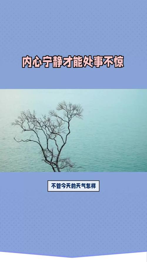 以自信之姿，守冷静之心