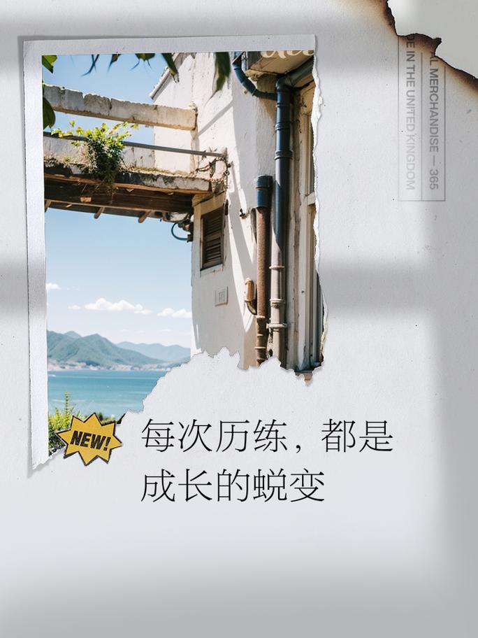 打破自信的局限：开启成长与蜕变之门