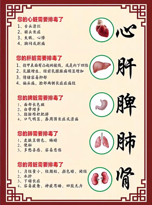 探秘经络养生：传统智慧，健康之道