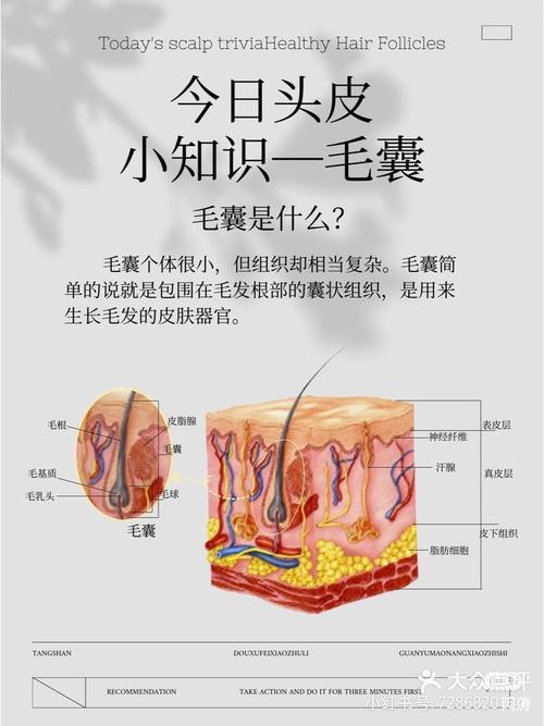 头发护理全攻略：受损发质与头皮护理的深度解析