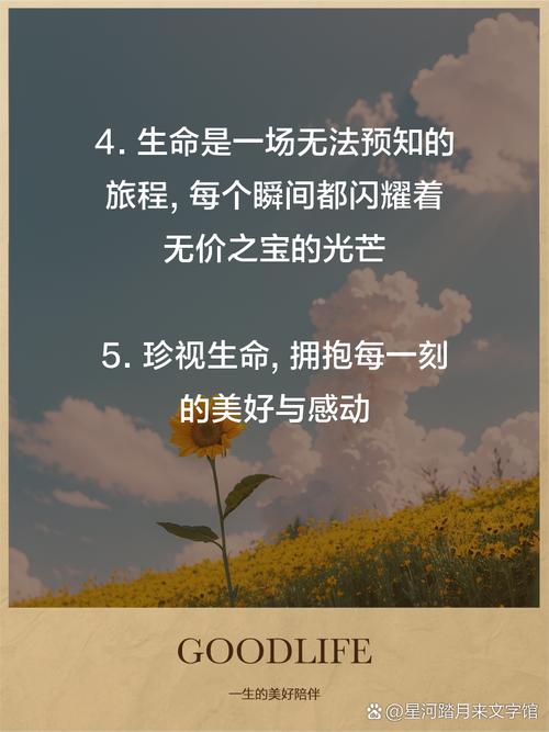 探寻生命的意义与价值：在平凡中绽放光芒