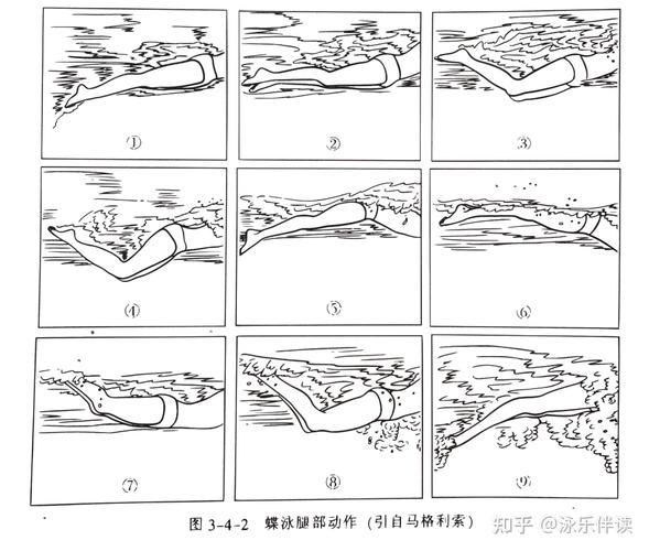 蝶泳的训练方法