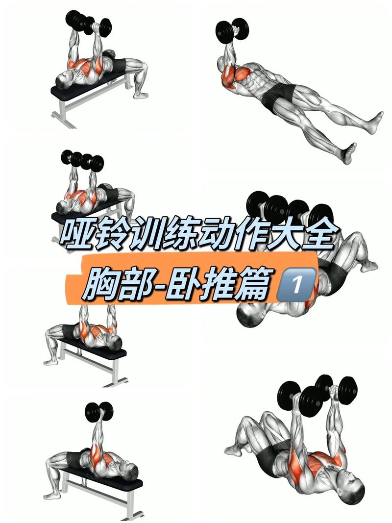 详细阅读:卧推动作详解与全面训练指南 卧推动作详解与全面训练指南
