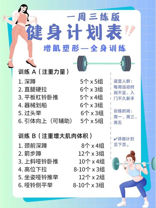 增肌健身：科学方法与高效计划全指南