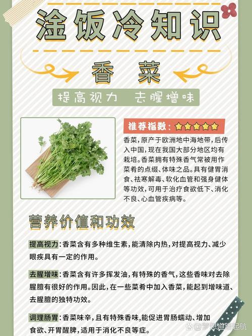 香菜：独特魅力与多元价值