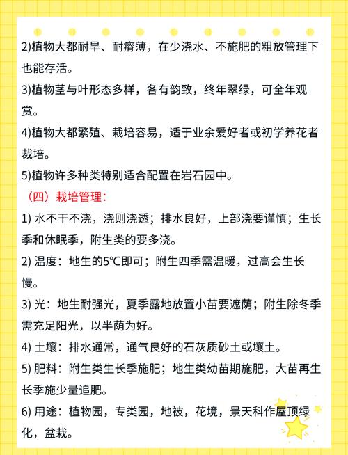多肉植物养护全攻略：让萌肉茁壮成长的秘诀