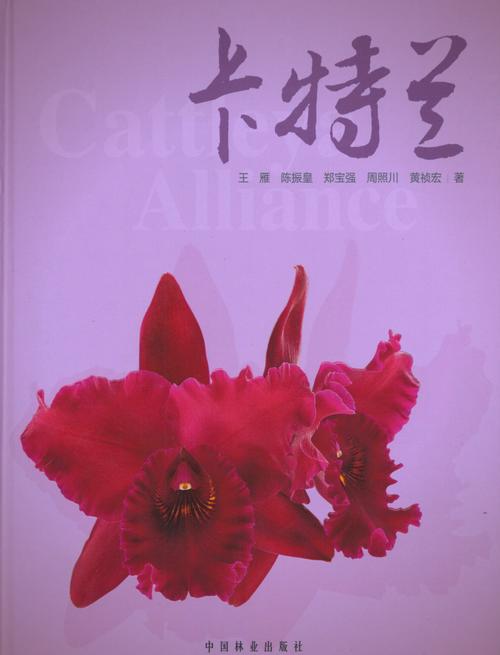 花卉种植的艺术：从种子到绚烂花园的奇妙之旅