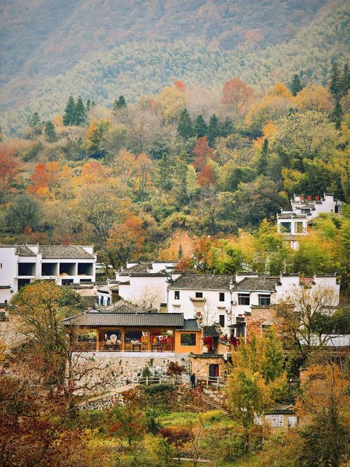 详细阅读:皖南自驾游:一场山水与人文交织的梦幻之旅 皖南自驾游:一场山水与人文交织的梦幻之旅