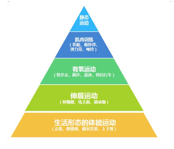 运动与身体运动技术发展的关系