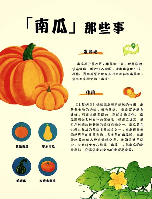 南瓜末：金黄的美味馈赠与多元价值探索