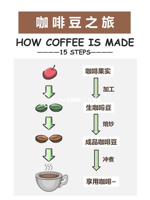 咖啡制作：从豆到杯的艺术之旅