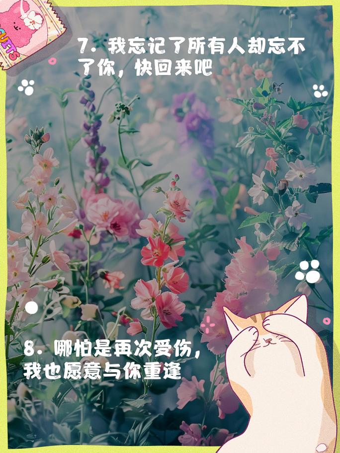 详细阅读:爱,在破镜重圆后绽放 爱,在破镜重圆后绽放