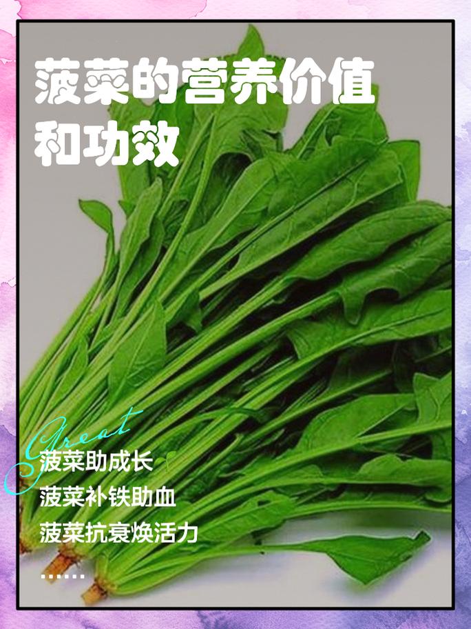 菠菜末：绿色营养的宝藏