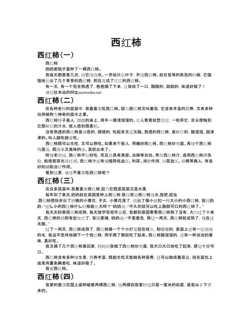 番茄末的奇妙之旅：从田间到餐桌的故事