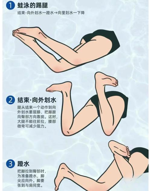游泳训练指南